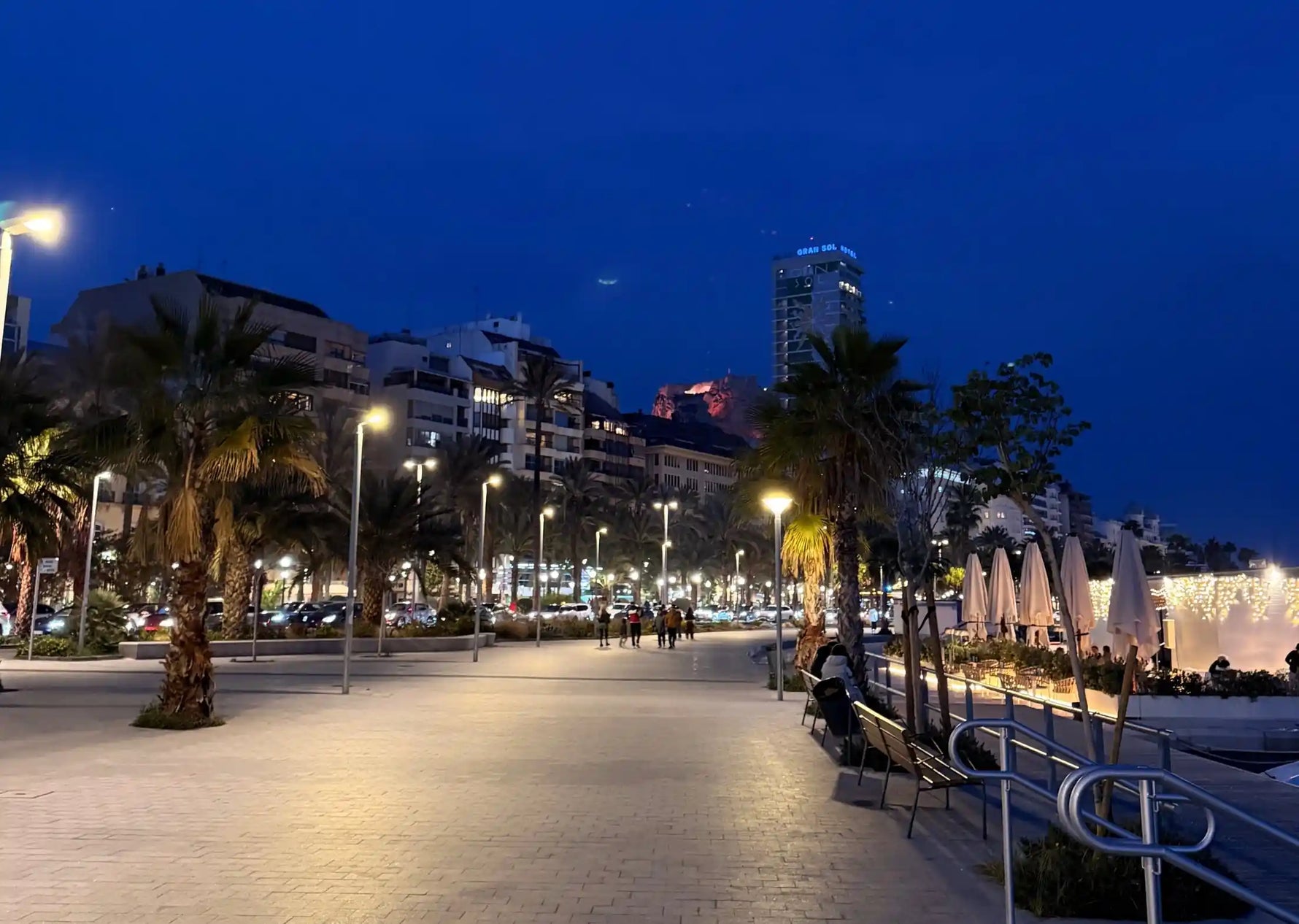 Alicante city park view in night time near sea