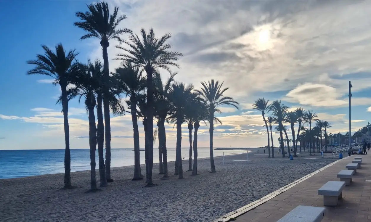 Villajoyosa town beach view with palm trees