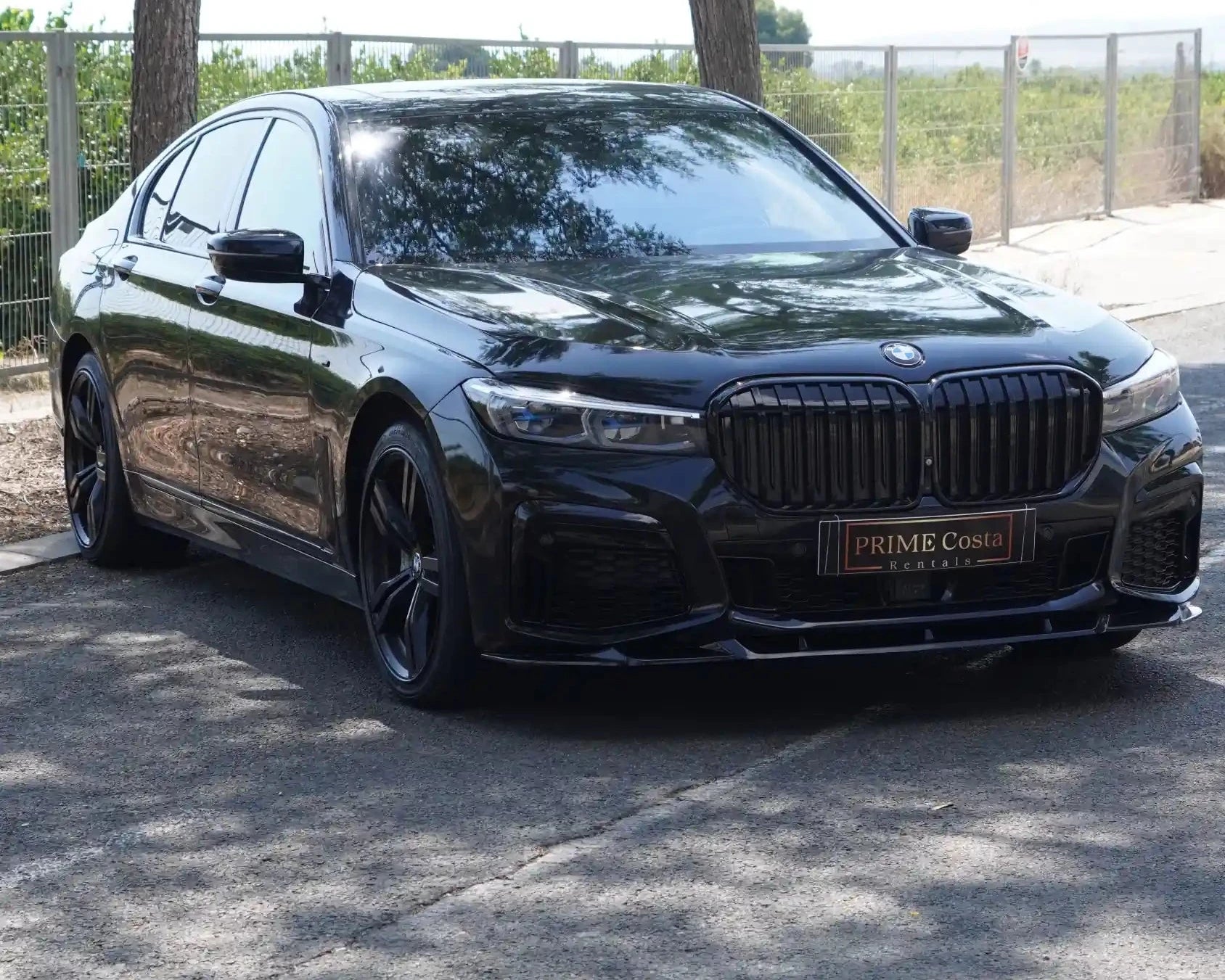 BMW 730D black front right side street view in parking with trees surrounded and blue sky
